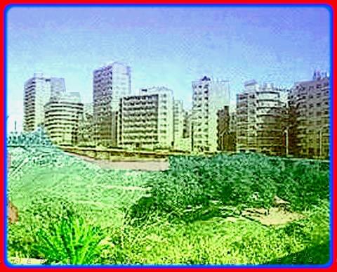 ORAN 008 CARTE SOUVENIRS - Copie (2).jpg